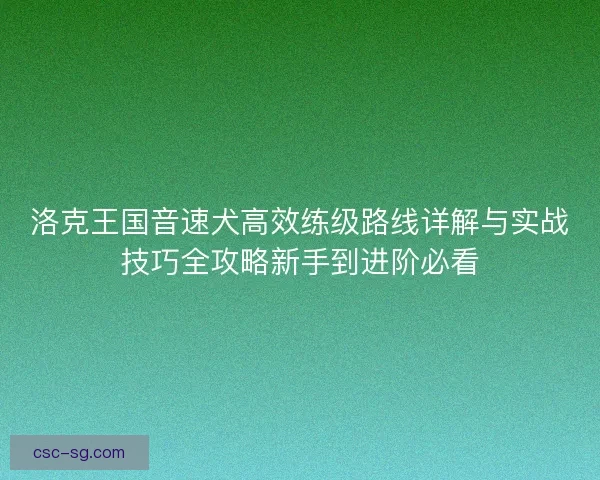 洛克王国音速犬高效练级路线详解与实战技巧全攻略新手到进阶必看